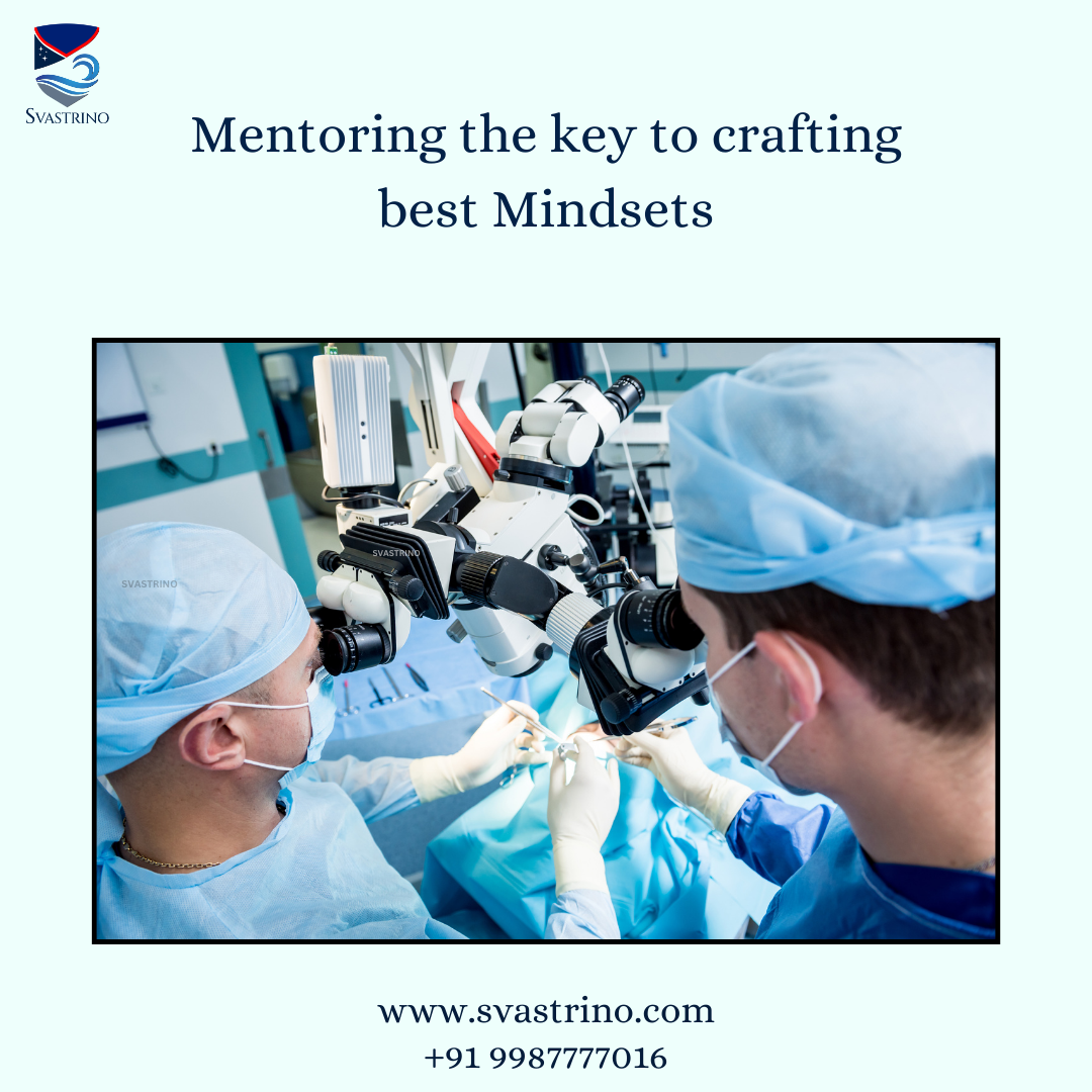 role of mentorship in fostering diversity