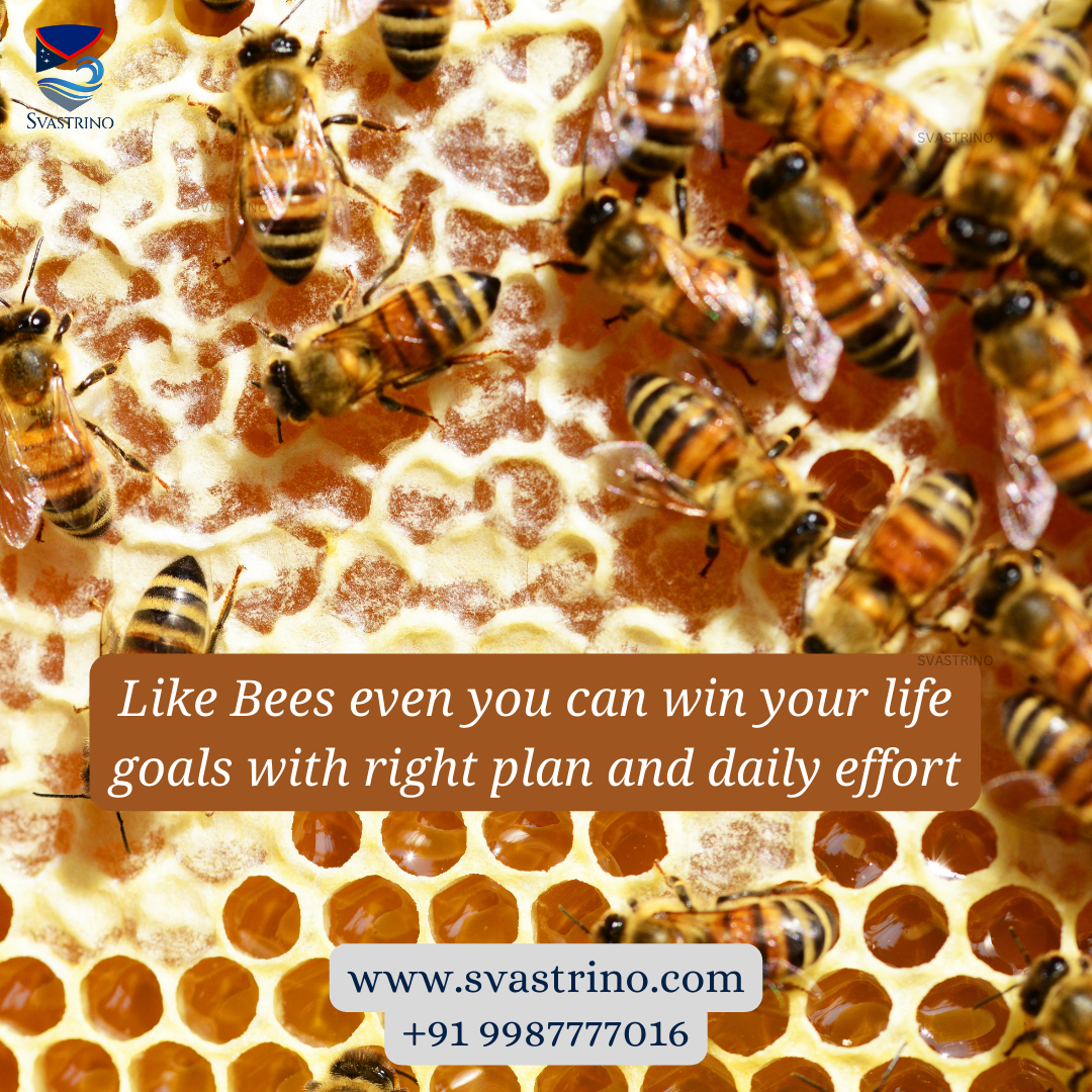 Micro-Goals in Career Development